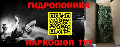 гашик Уссурийск