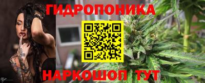 крисы Усть-Илимск